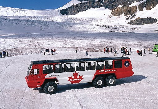 Ice Explorer Glacier Tour